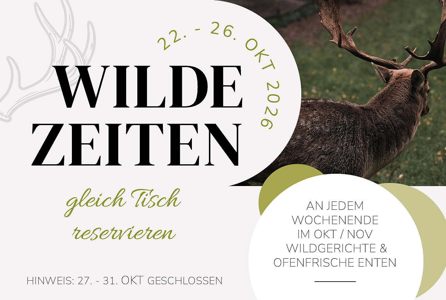 Wilde Zeiten